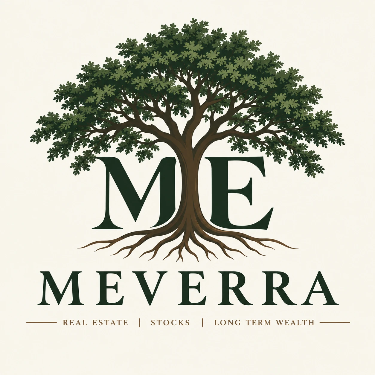 Meverra &mdash; real estate, stocks, long term wealth